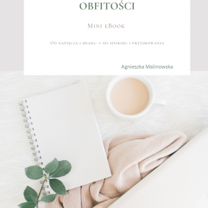 3- Dniowy Challenge Obfitosci e-book