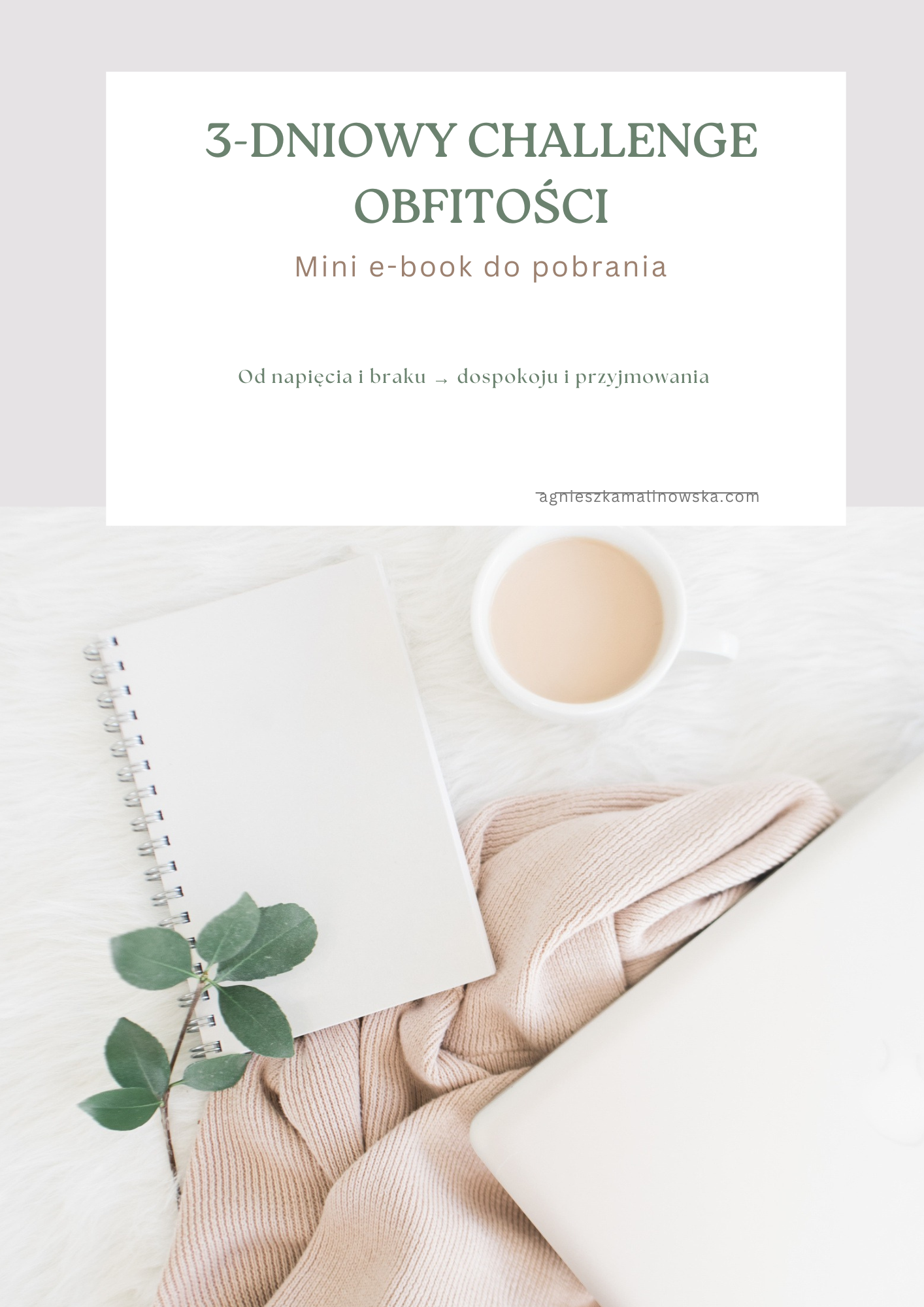 3 dniowy challenge obfitosci e book 3 dniowy challenge obfitosci e book